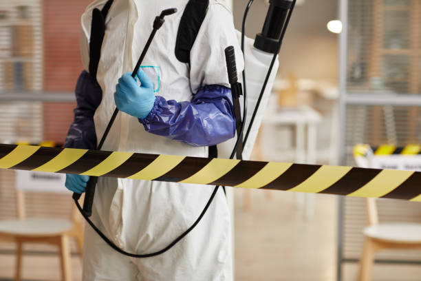 Professional Hoarding Cleanup technician working in Galveston, TX